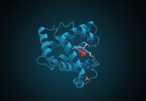 soluble protein service