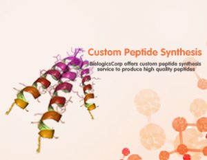 Peptide Synthesis