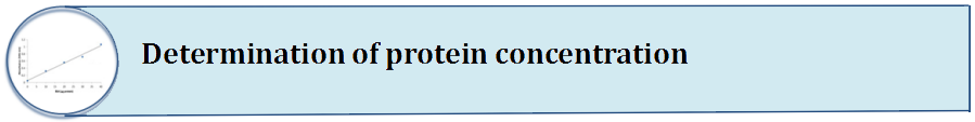 Determination Of Protein Concentration