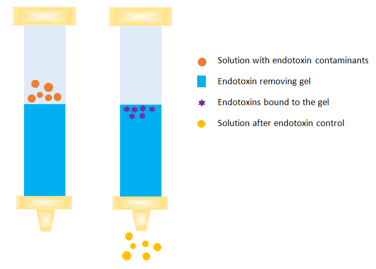 Technical Strategies Removal In Protein Purification Process
