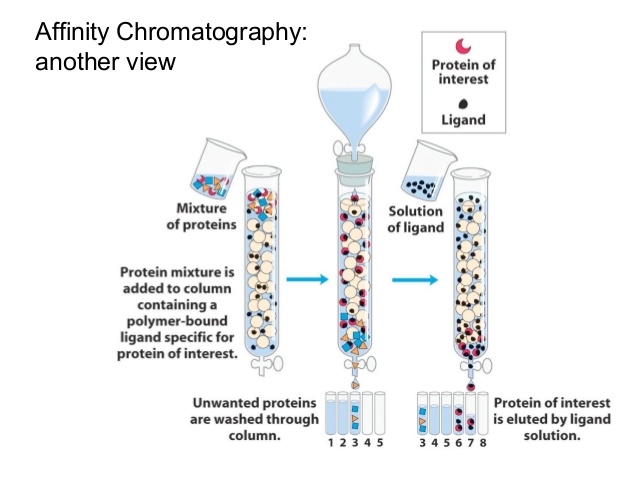 buy genetics genomics and