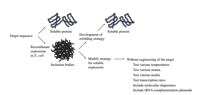 soluble protein introduction