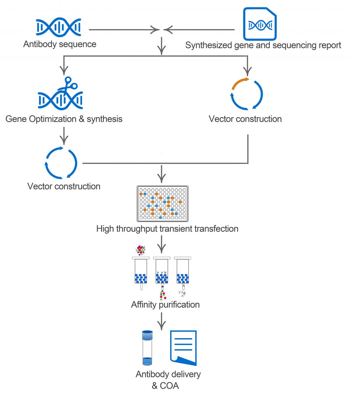 High-throughput -antibody