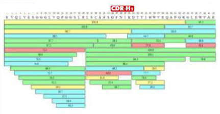 de novo antibody sequencing