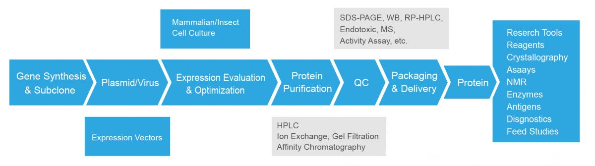 Services Process