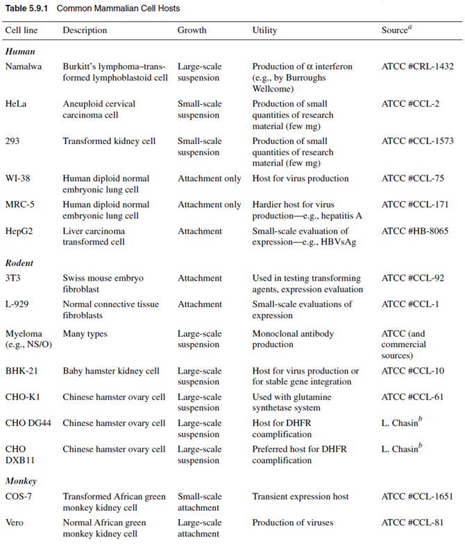 overview-of-protein-expression-and-purification-table5.9.1