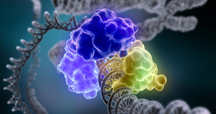 protein-production-secondary-structure