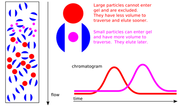 protein-purification-method-based-on-whole-structure-size-and-shape