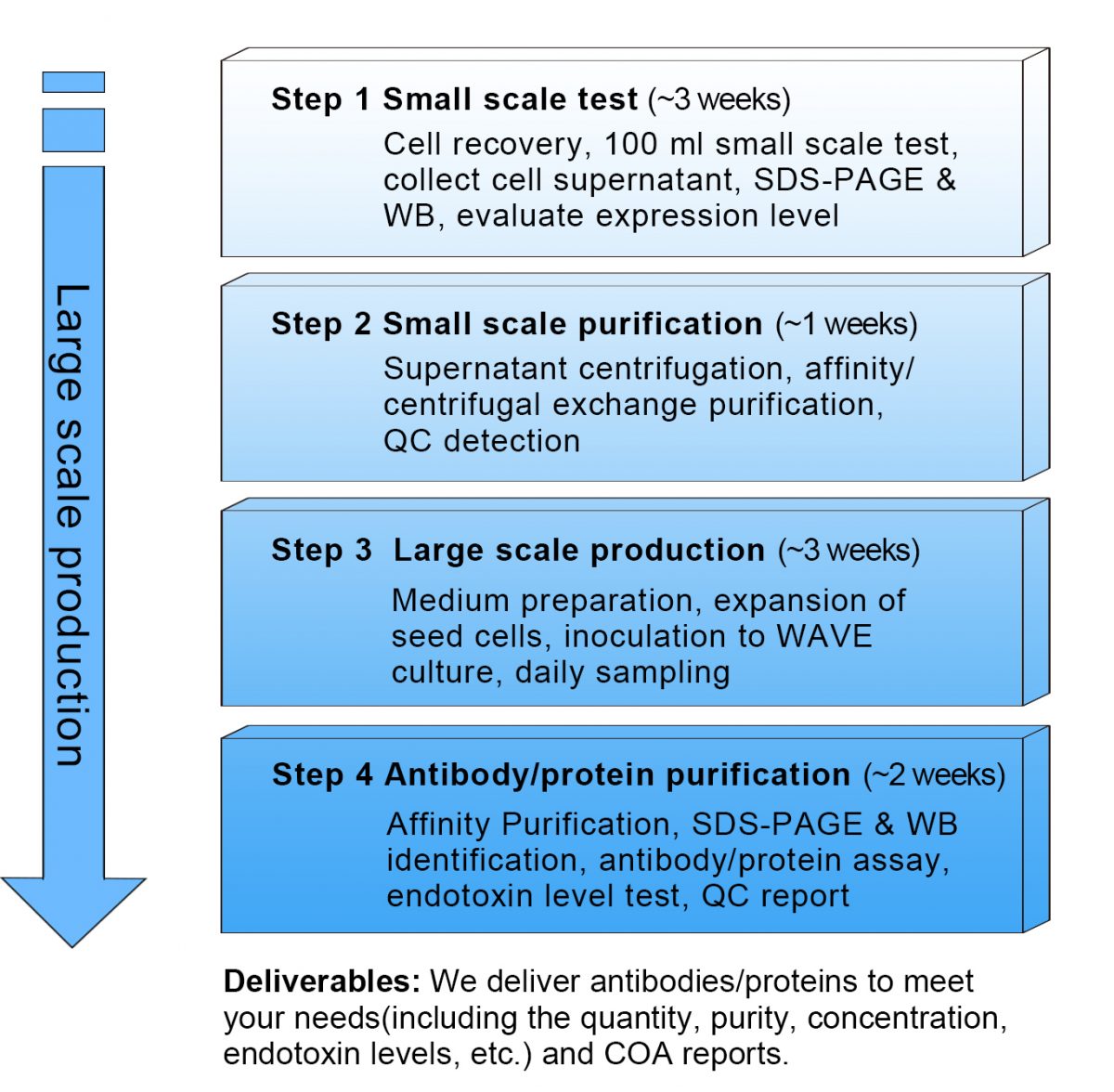 large scale Process