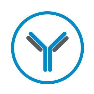 Recombinant antibody production