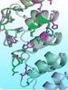 phospho-specific polyclonal antibodies