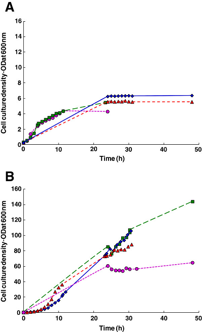 High cell density fermentation study on <em>E. coli</em> strain