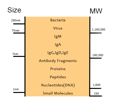 BLI Detection Range