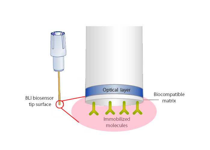 biosensor