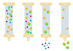 Affinity Chromatography