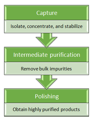 One-step and automated protein purification