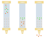 Size exclusion chromatography