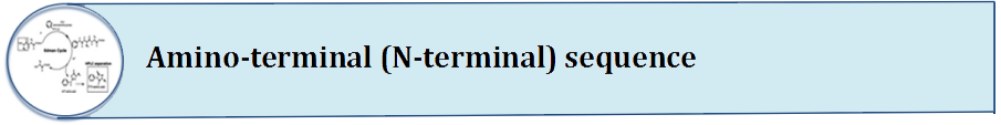 Amino Terminal Sequence