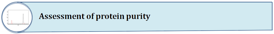 Assessment Of Protein Purity