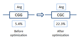 codon optimization case study