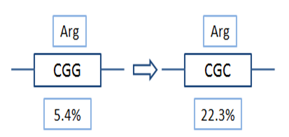 Codon optimization case study