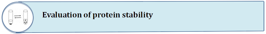 Evaluation Of Protein Stability