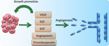 growth factors