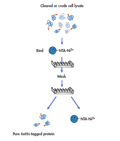 High-throughput technology