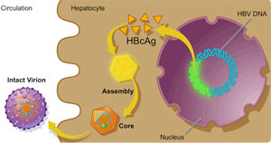 viral antigens